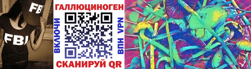 Псилоцибиновые грибы Psilocybine cubensis  Купить закладки  Шебекино 